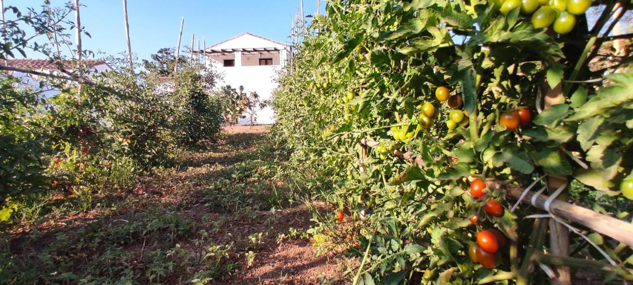 Cort'E Nastasj Ξενοδοχείο Tertenìa Εξωτερικό φωτογραφία